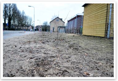 Is uw tuin nog droog na hevige regenval ja