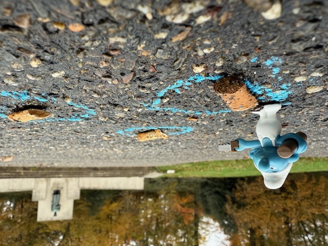 Smurf bij crime scene