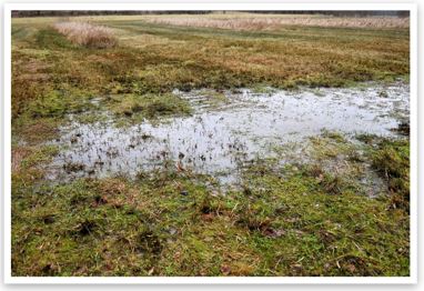 Is uw tuin nog droog na hevige regenval nee