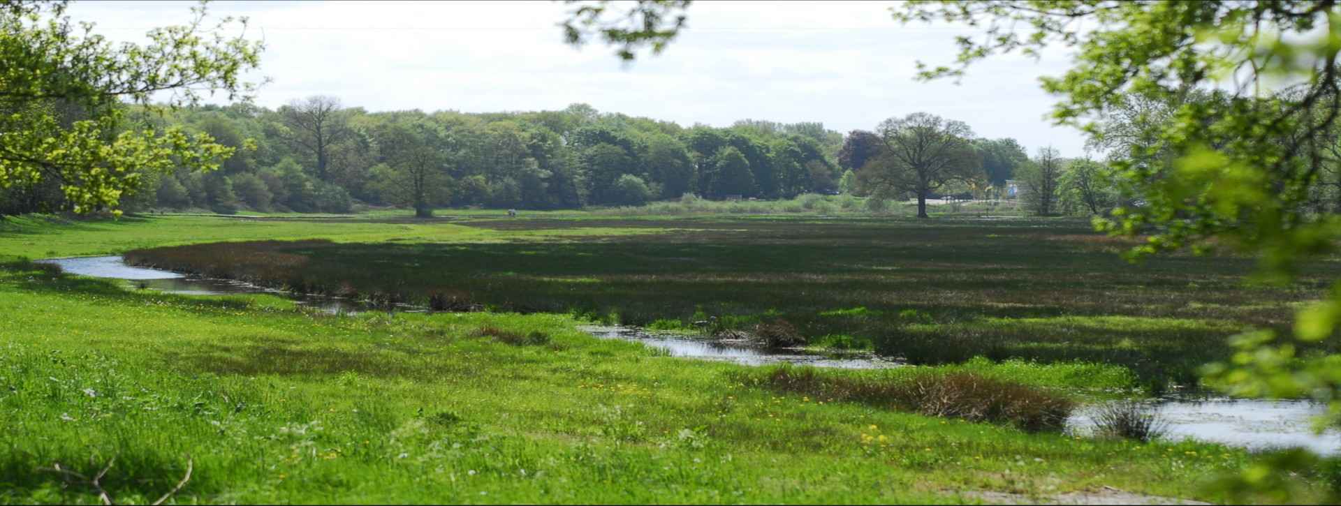 foto-renkums-beekdal-klein