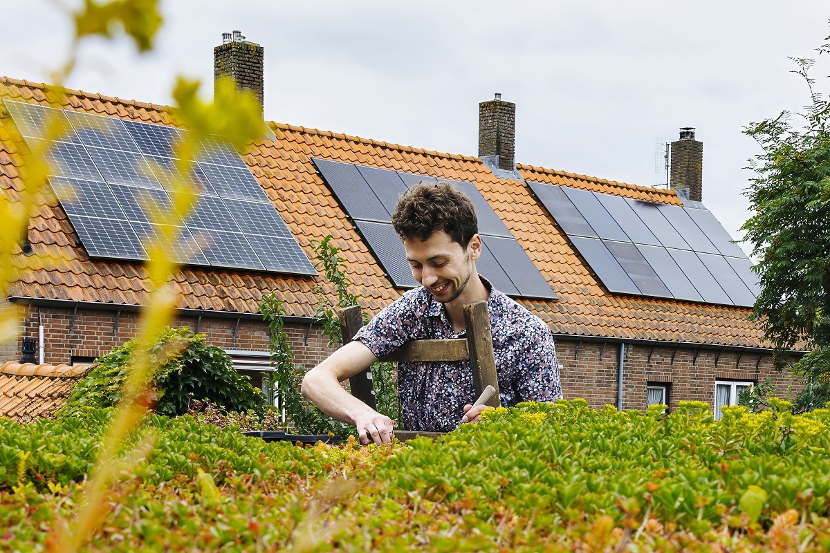 sedum_dak_zonnepanelen_origineel (6) 1200x800